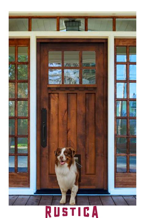 solid exterior door with dog